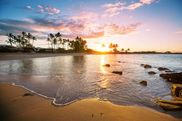 Splendida Spiaggia Hawaiana Saluta Oceano Tramonto All Alba Con Surfista — Foto Stock