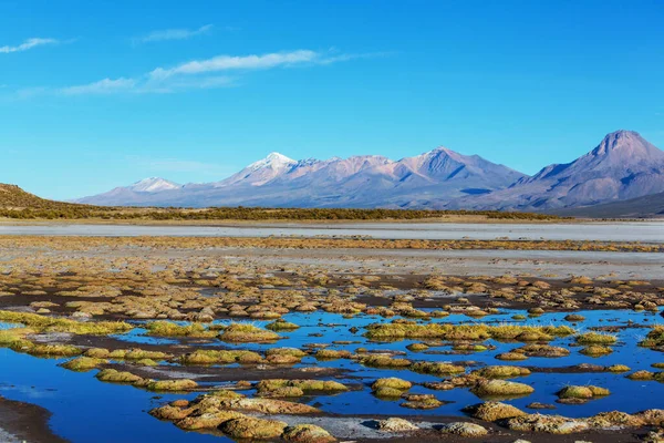 Paesaggi Montani Insoliti Bolivia Altiplano Viaggi Avventura Sud America — Foto Stock