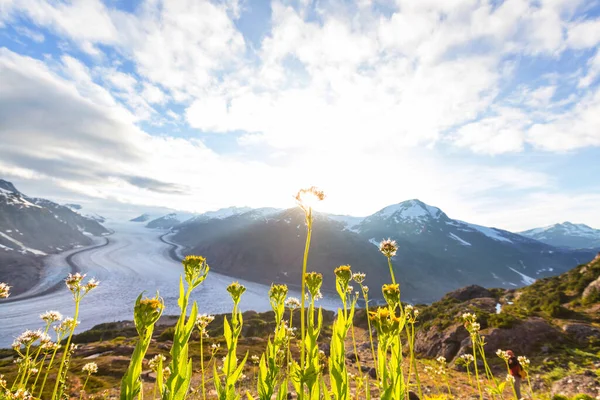 Salmon Glacier Stewart Canada — Stock Photo, Image