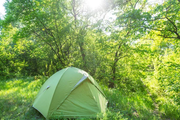 Tenda Nel Verde Bosco Primaverile — Foto Stock