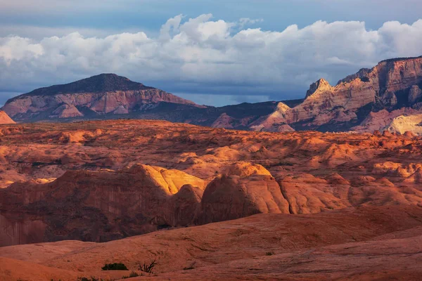 Pískovcové Útvary Utahu Usa Krásné Neobvyklé Krajiny — Stock fotografie
