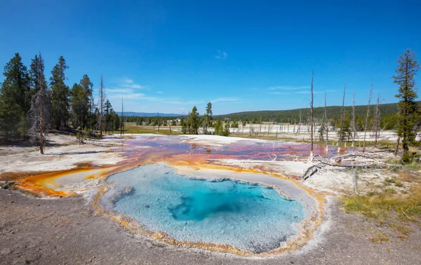 Inspiring Natural Background Pools Geysers Fields Yellowstone National Park Usa — Stock Photo, Image