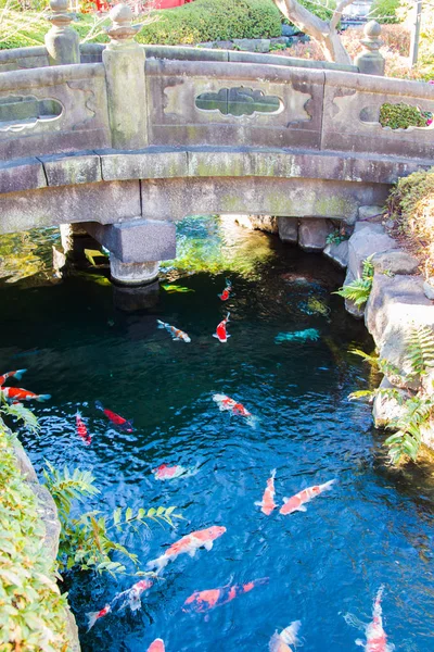 Steinerne Brücke — Stockfoto