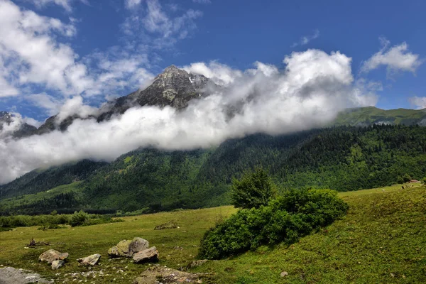 Paisagem de montanha com rio de montanha — Fotografia de Stock