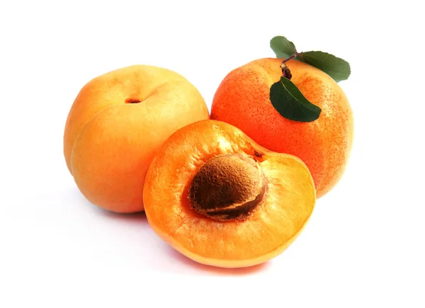 Apricot; objects on white background — Stock Photo, Image