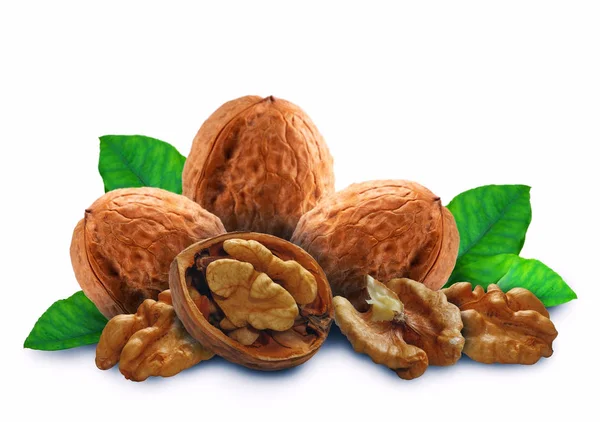 Walnut with leaves and a shell — Stock Photo, Image