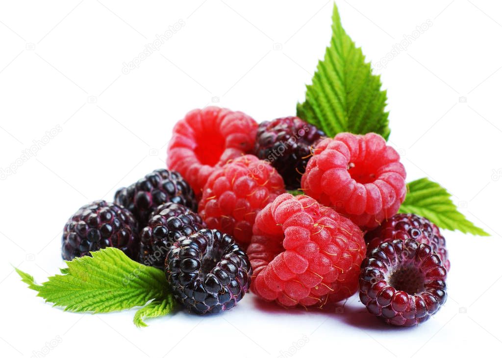 Red and black raspberry with leaves