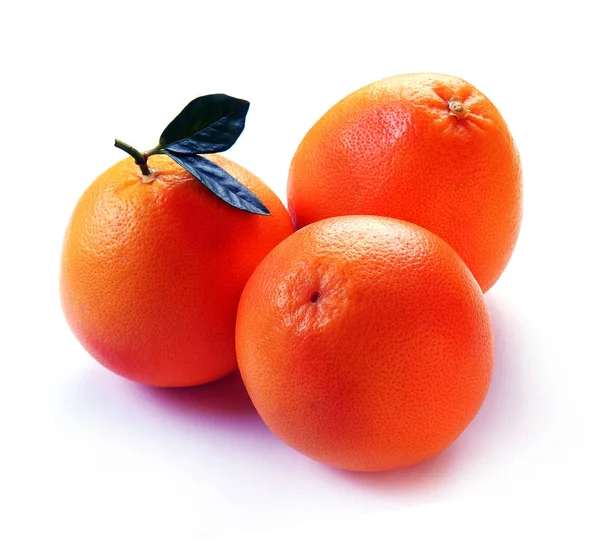 Három grépfrút, fehér alapon — Stock Fotó