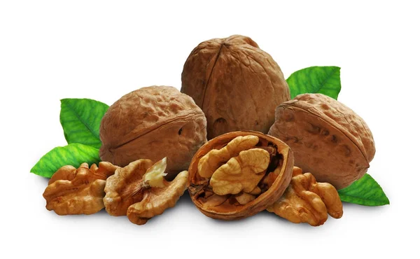 Walnut with leaves and a shell — Stock Photo, Image