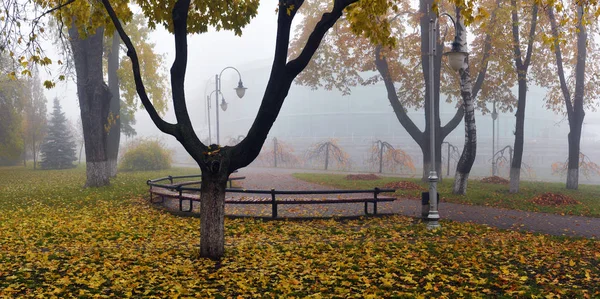 Żółte liście na ławce w parku — Zdjęcie stockowe