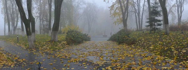 Żółte liście na ławce w parku. — Zdjęcie stockowe