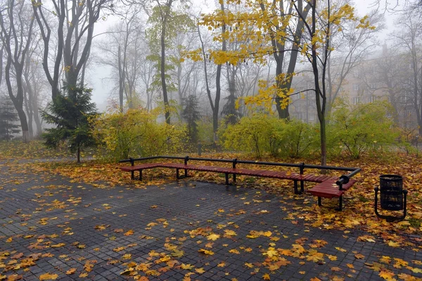 Жовте листя на лавці в парку . — стокове фото