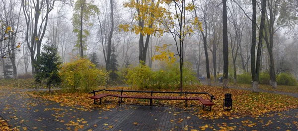 Žluté listy na lavičce v parku. — Stock fotografie