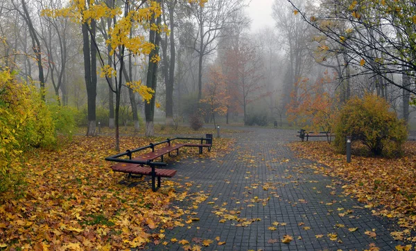 Žluté listy na lavičce v parku — Stock fotografie