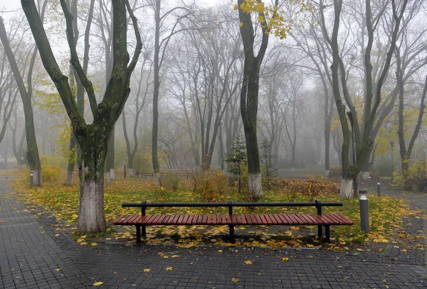 Žluté listy na lavičce v parku. — Stock fotografie