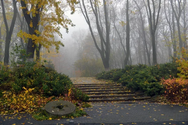 Жовте листя на лавці в парку . — стокове фото