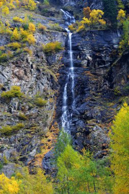 Hızlı Akış ve ormanının ile bir dağ nehir ile manzara