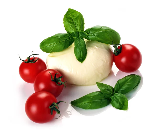 Mozzarella peyniri domates fesleğen — Stok fotoğraf