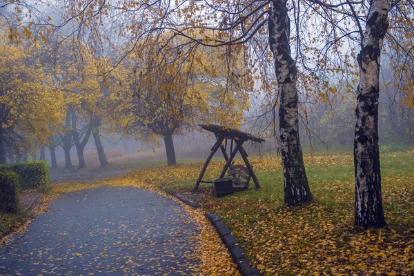 Parque de otoño. Paisaje escénico de otoño por la mañana. Arce árboles con v — Foto de Stock