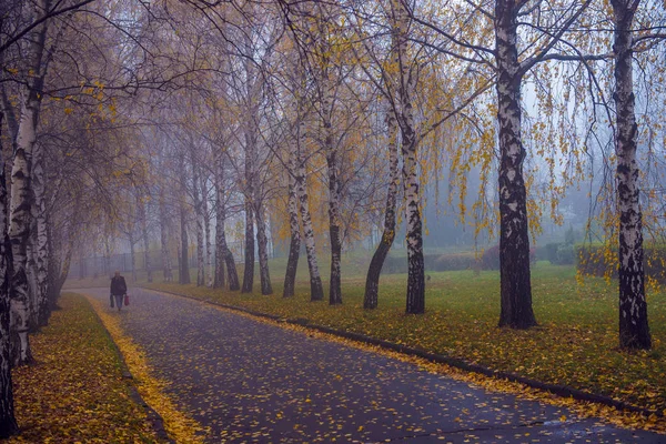 Sonbahar parkı. Manzaralı sonbahar sabahı manzarası. V ile akçaağaç — Stok fotoğraf