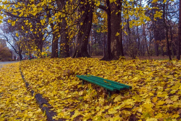 Autumn park. Scenic autumn morning landscape. Maple trees with v — Stock Photo, Image