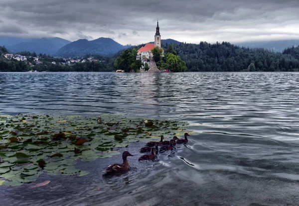 Vista panorâmica da manhã da Igreja Paroquial de St. Martin, perto de Bled Lake — Fotografia de Stock