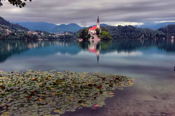 피묻은 호수 근처에 있는 세인트 마틴 성당의 전경 — 스톡 사진