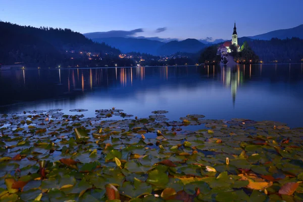 Lago Bled com St. Marys Igreja da Assunção em pequena ilha em — Fotografia de Stock