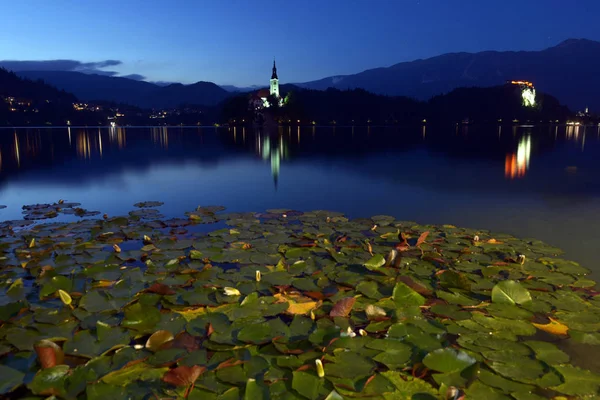 Lake Bled a Szent Mária templom Nagyboldogasszony a kis szigeten — Stock Fotó