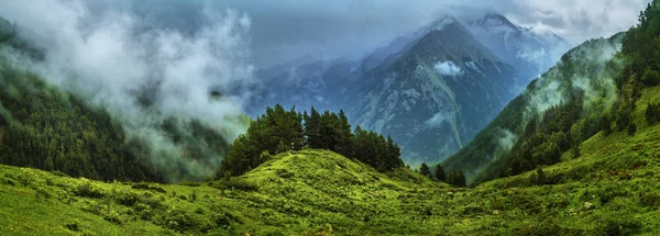 Bellissimo paesaggio montano del Caucaso. Vista del ghiacciaio chiamato — Foto Stock