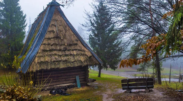 木造小屋とカラフルな秋に本物のウクライナの村の絵のような田園風景 — ストック写真