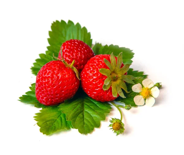 Aardbeien Met Groen Blad Bloemen Geïsoleerd Witte Achtergrond — Stockfoto