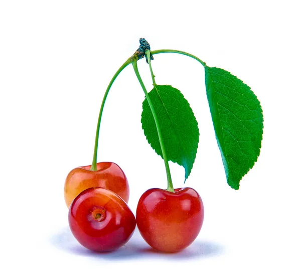 Cerezas Rojas Dulces Con Hojas Aisladas Sobre Fondo Blanco Macro — Foto de Stock