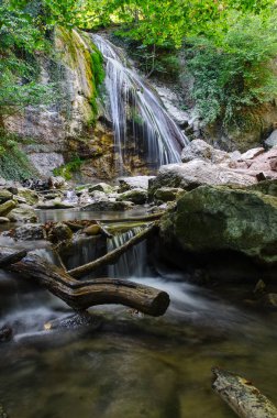 Ormandaki dağ şelalesi