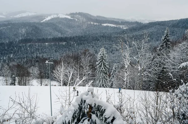 De koude aard van het skigebied — Stockfoto