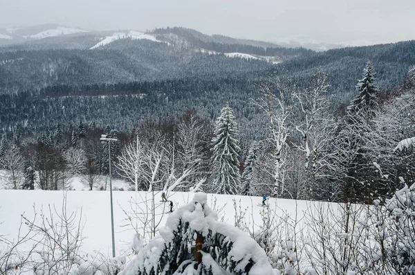 Den kalla naturen av skidorten Royaltyfria Stockfoton