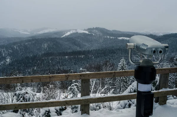 Den kalla naturen av skidorten Stockbild