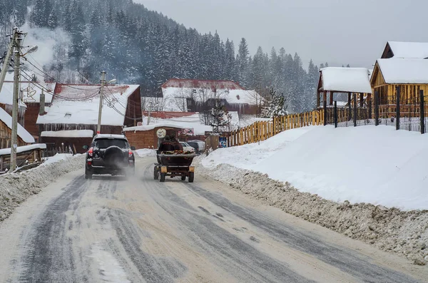 Ett team av utnyttjas hästar i snön — Stockfoto