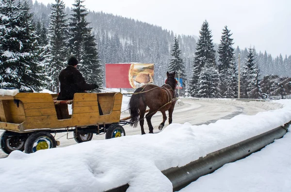 Ett team av utnyttjas hästar i snön — Stockfoto