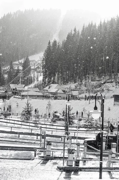 Hus i en snöig skog — Stockfoto