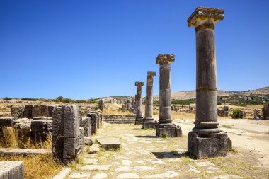 Şehir Volubilis Harabeleri