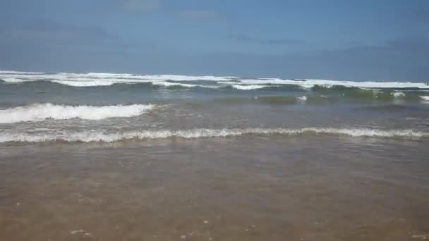 Waves on Atlantic ocean — Stock Video
