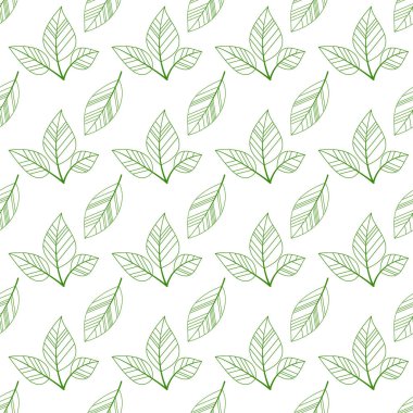 Yeşil sorunsuz yaprakları