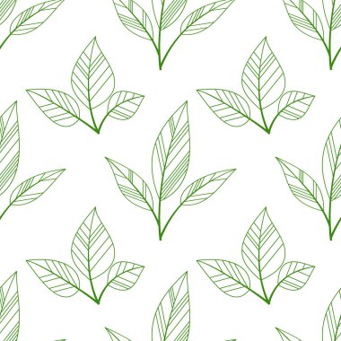 Yeşil sorunsuz yaprakları