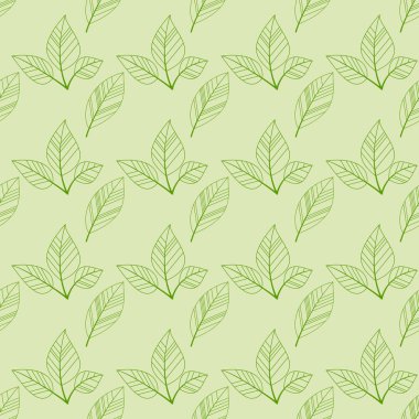 yeşil yaprakları sorunsuz