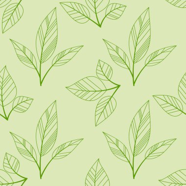 yeşil yaprakları sorunsuz