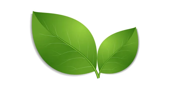 Ikona zelené listy — Stockový vektor