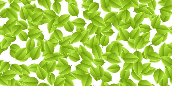 Gröna blad höst — Stock vektor