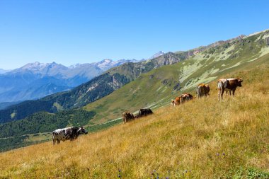 Gürcistan'daki dağlar