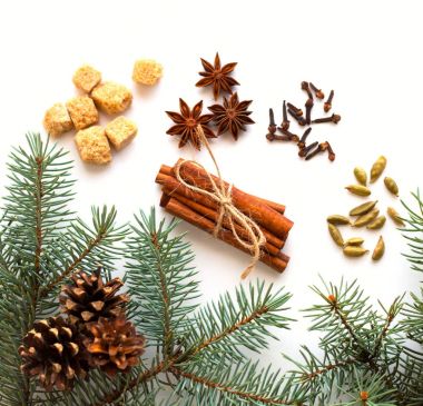 malzemeler için mulled şarap